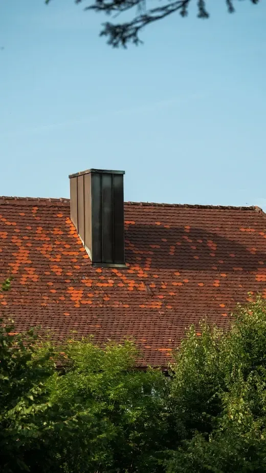 Chimney Services