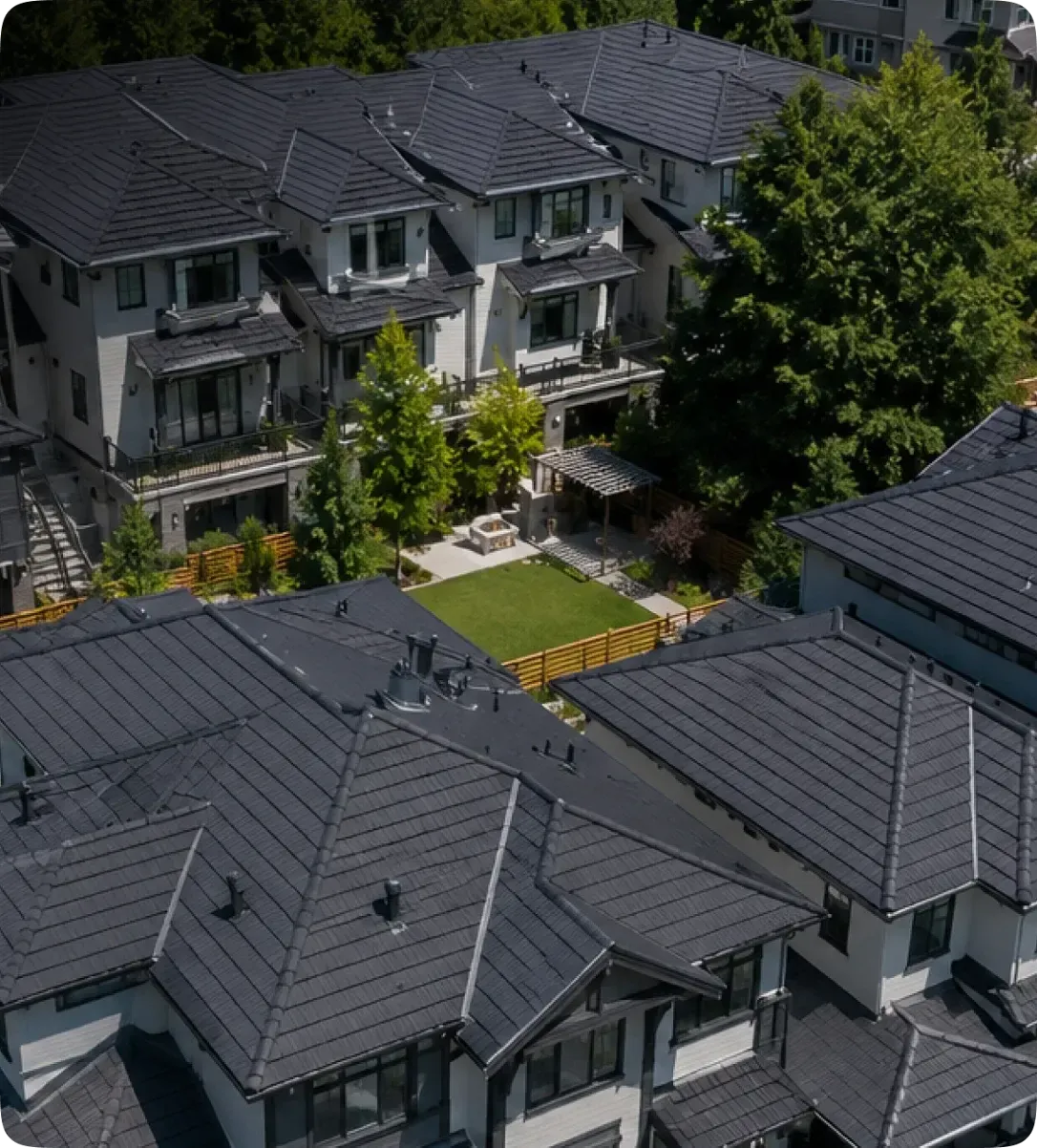 Modern house with black roof