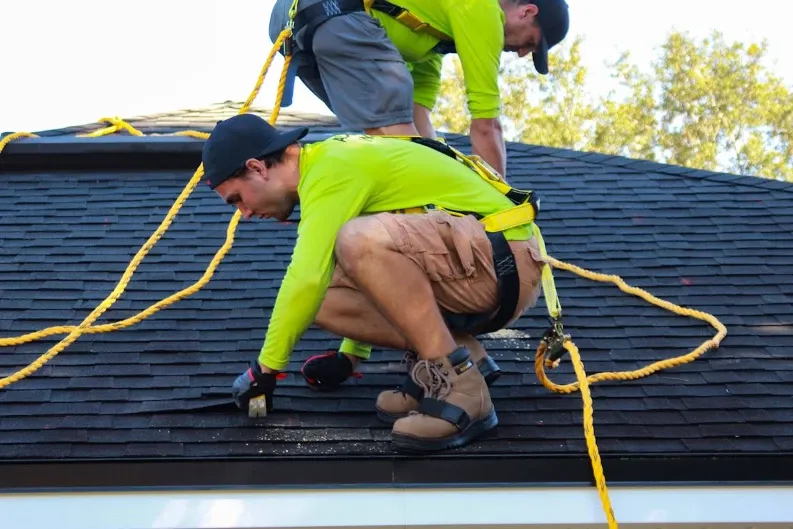 Roofing Professionals