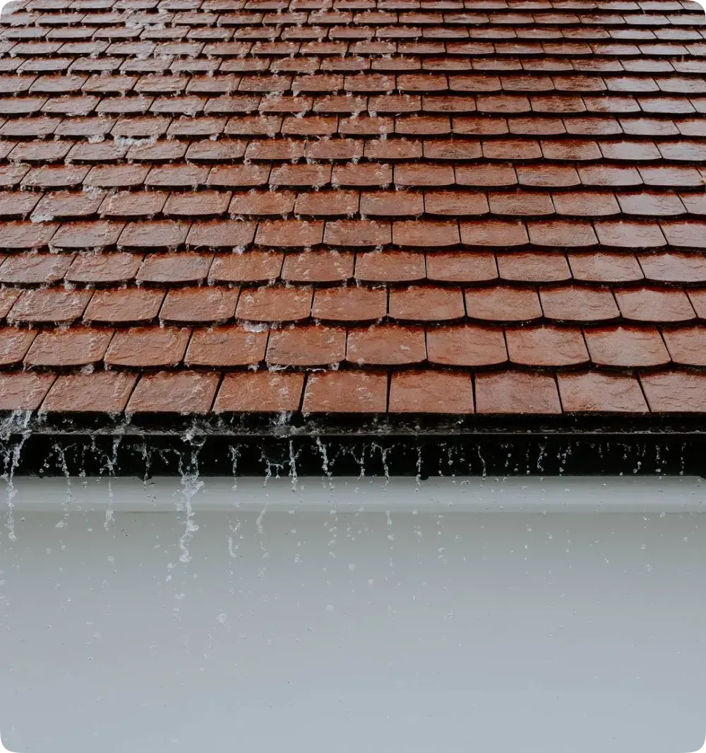 Roof showing water damage and protection needs