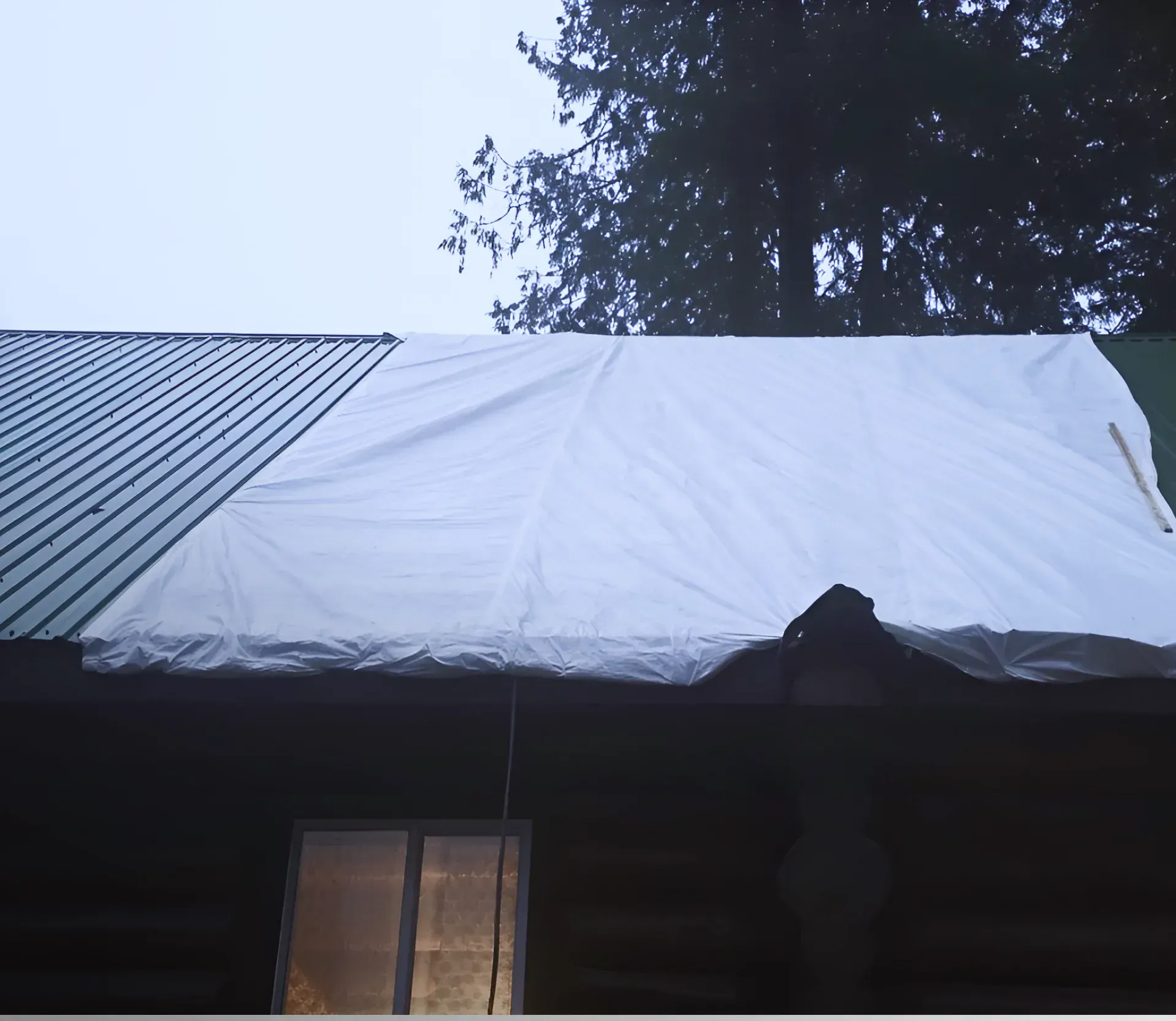 Roof Inspection in Port Coquitlam