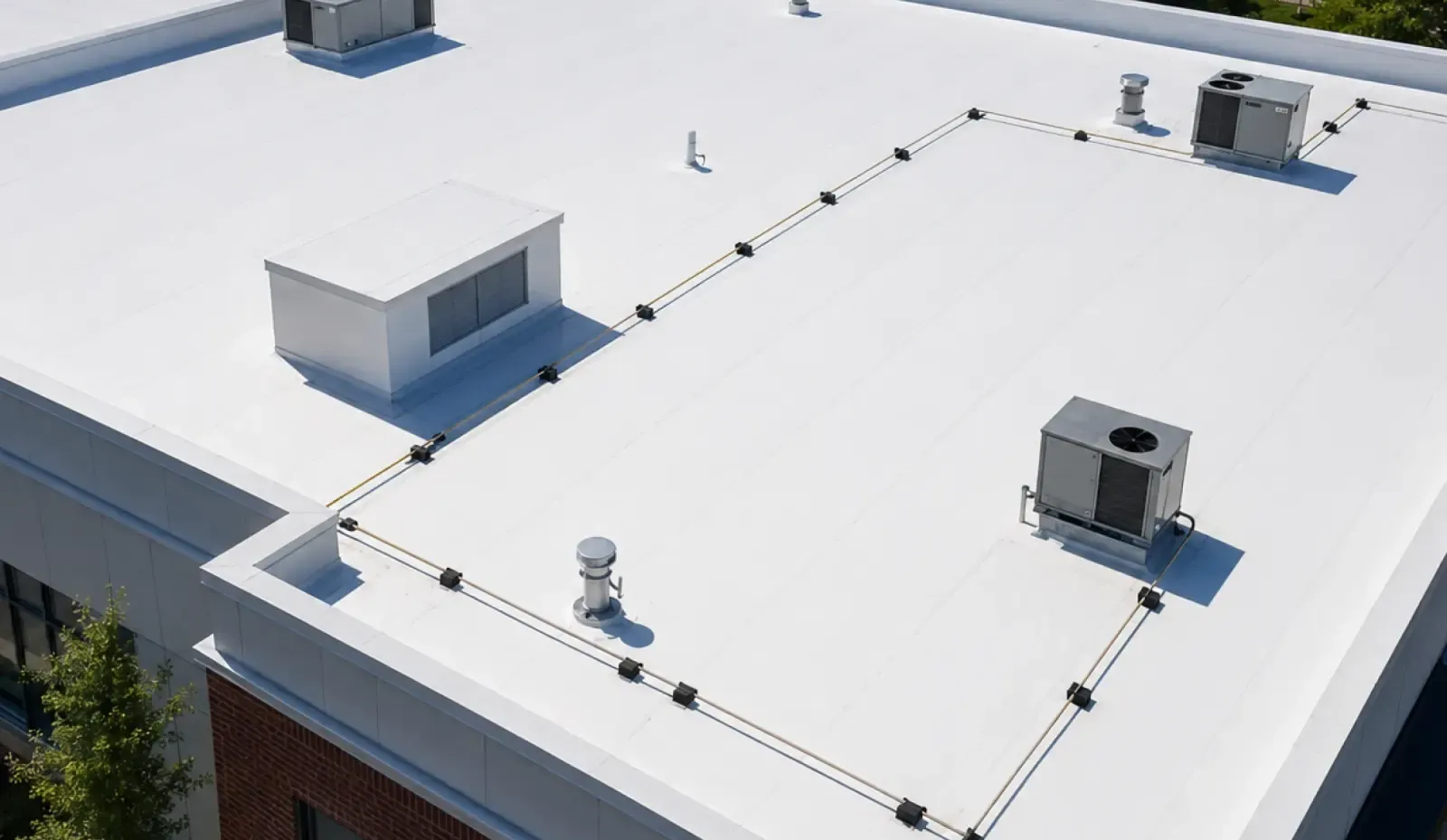 TPO roof replacement in New Westminster