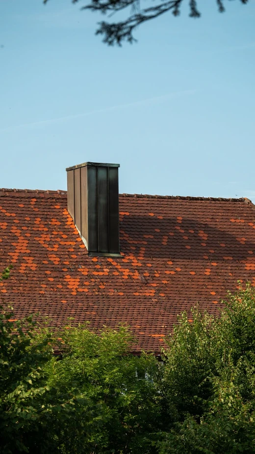 Chimney Services