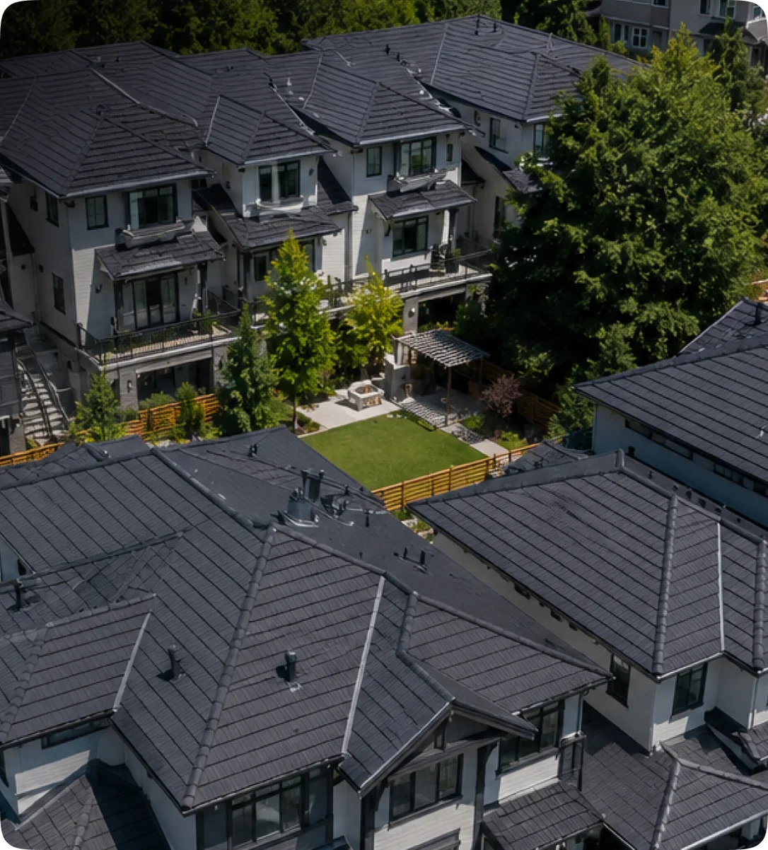 Modern house with black roof