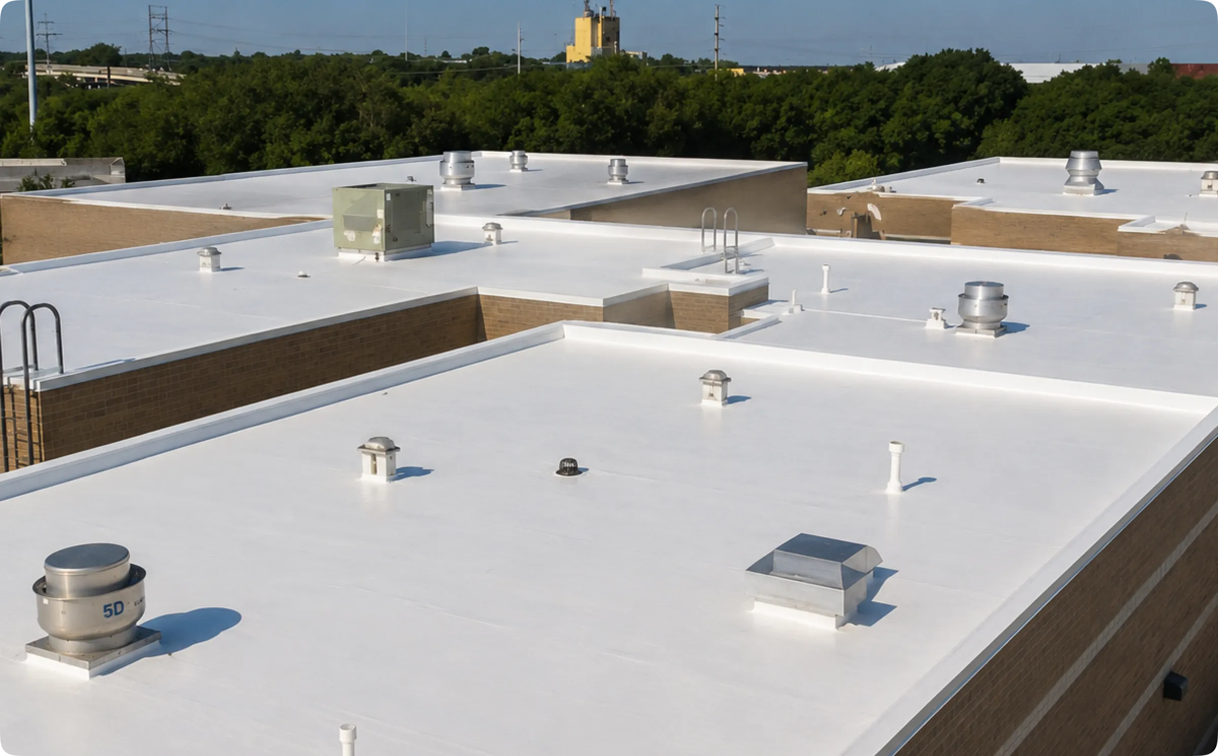 TPO roof replacement in Delta
