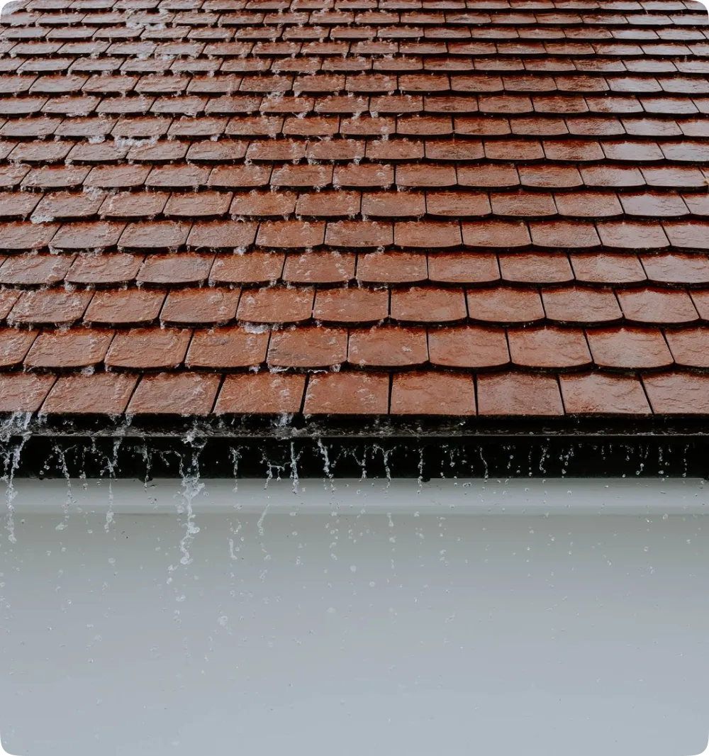 Roof showing water damage and protection needs